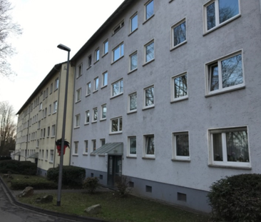 3-Zimmer-Erdgeschosswohnung mit Loggia - Photo 1