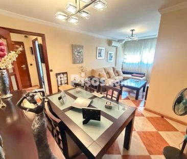 Piso en alquiler en Pino Montano - Foto 3