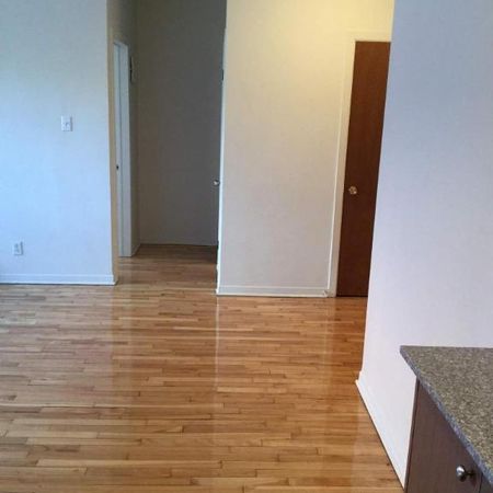 1 CH - 1 SDB - Montréal - $1,200 /mo - Photo 4