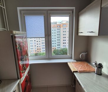 (Symbol 435835) - Photo 1