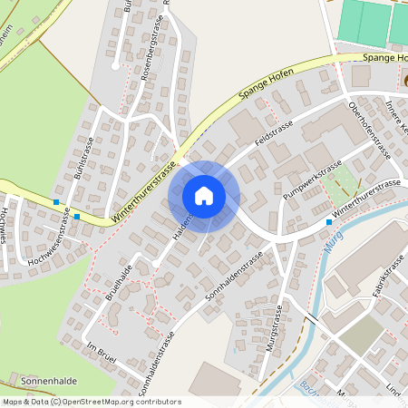 Haldenstrasse 1, 8370, Sirnach