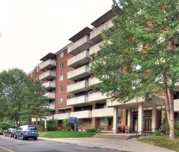 Appartement 1 chambre à louer Kirkland à Promenade Canvin - Photo 2