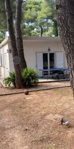 Μονοκατοικία για ενοικίαση Νέα Κηφισιά (Κηφισιά) - Photo 4