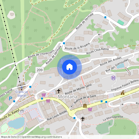 3963, Crans-Montana, Route des Mandarins, 1