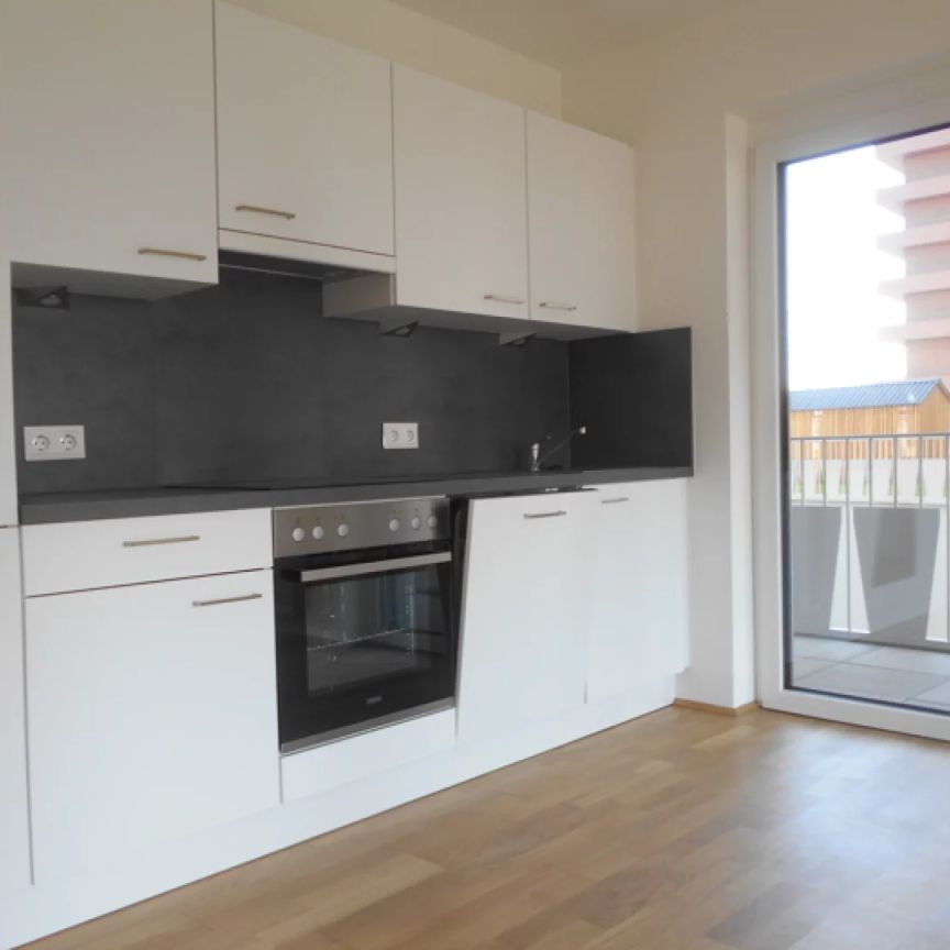 Q5 am PARK sonnige 2ZI mit 20m² S/O Balkon Reininghaus Gründe - Foto 1