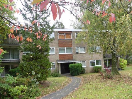 3 bedroom apartment to rent - Photo 4