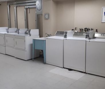 Forest Manor - Photo 4