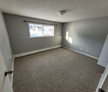 3609 Chaben Place - Photo 3