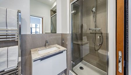 Palace Wharf Apartments, London - Photo 5