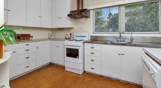 Popular in Kamo - Photo 1