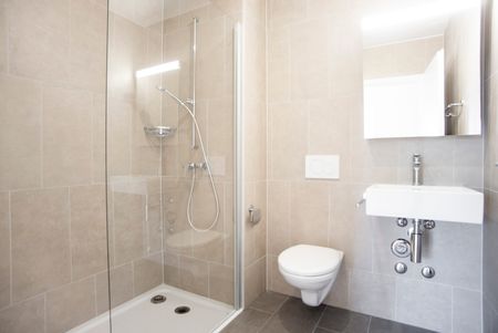 LE TICLE : Appartements neufs à louer - Photo 4