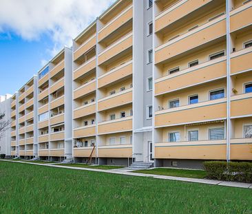 1-Zimmer Mietwohnung - Großzschachwitz - Photo 4