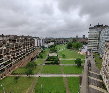 Bos en Lommerplein - Foto 3