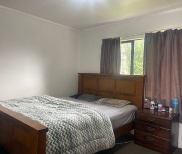 Tidy and compact property in Te Puke - Photo 3