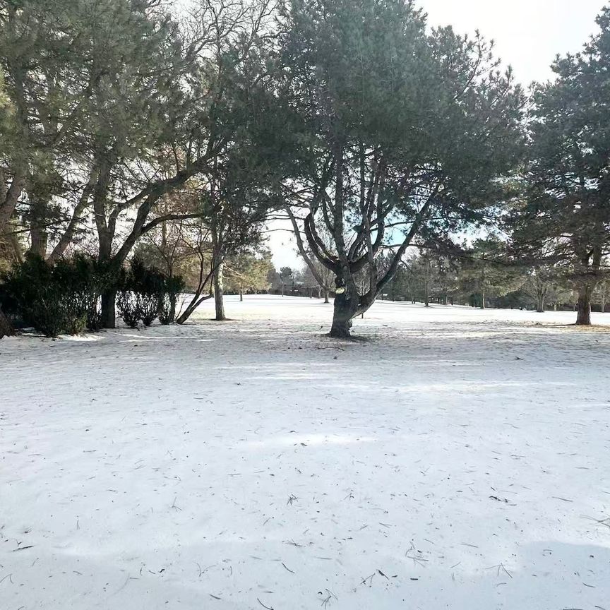 For Lease - 17 Fairway Heights Crescent Unit# Bsmt, Markham, Ontario - Photo 1