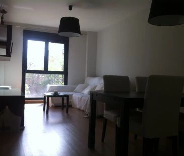 Zaragoza - Foto 6