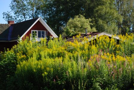 Järnvägsparken: Stor tvåa med snedtak - Photo 2