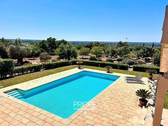 Luxury Farmhouse for rent in Campos, Spain - Photo 1