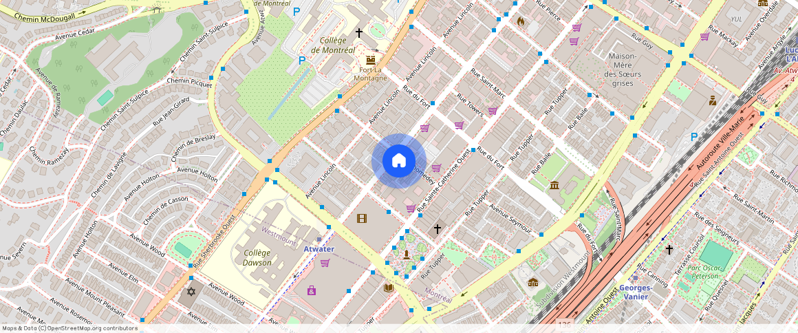 ** Boulevard de Maisonneuve Ouest, Montréal, QC