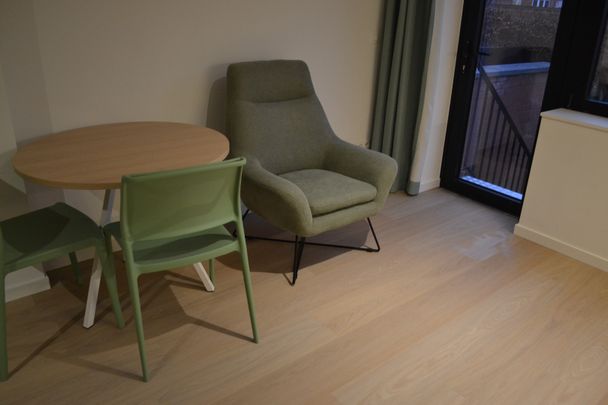 3 instapklare studio's te huur - Photo 1