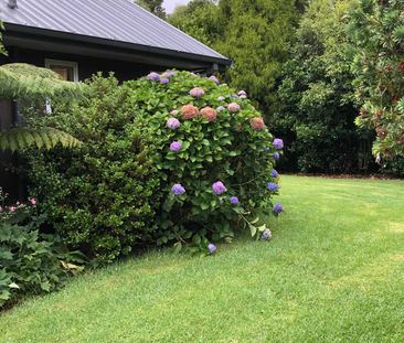 Spacious Two Bedroom Cottage - Peaceful Location! - Photo 4