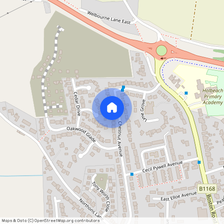 Chestnut Avenue, Holbeach, Spalding