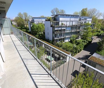 Loftwohnung am Stadtrand von Basel - Foto 6