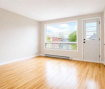 10361 Av. Audoin - Photo 6