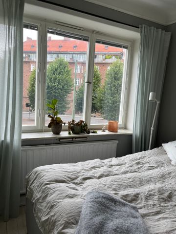 Södra Esplanaden, Lund - Photo 3