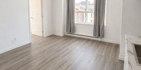 Immeuble - 103-105 King Est Joli 3 Et Demi Rénové - Centre-Ville - Photo 3