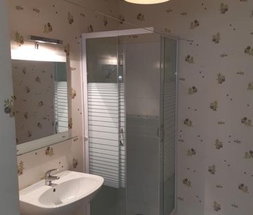 Location Appartement 1 pièce 31m² RUMILLY 74150 - Photo 3