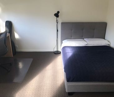 24/161 Uriarra Road, Crestwood NSW 2620 - Apartment For Rent | Domain - Photo 4