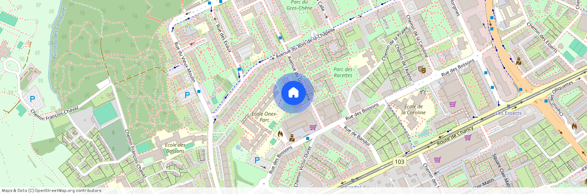 27, avenue du Gros-Chêne, 1213 Onex