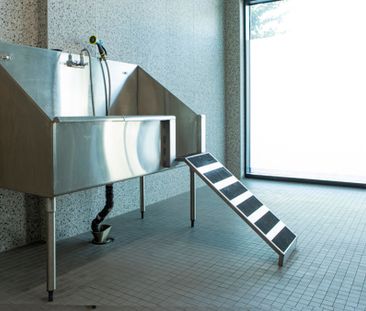 For Lease - 3385 Dundas Street Unit# 308, Toronto, Ontario - Photo 2