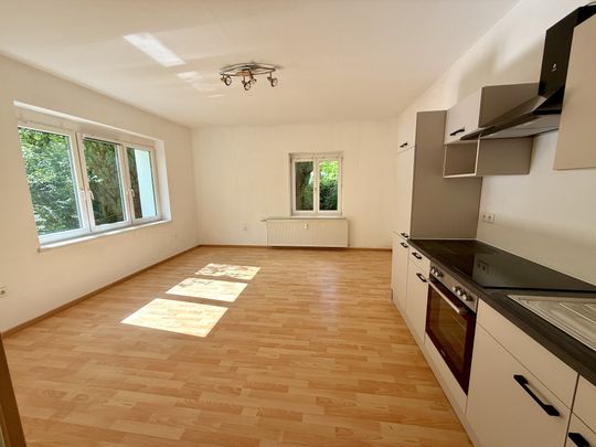 Helle 42m² große Wohnung südlich von Wolfsberg zu vermieten! - Photo 1