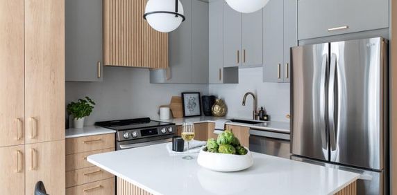 5 1/2 - Montréal (Le Plateau Mont-Royal) - 2 650 $/mois - Photo 2