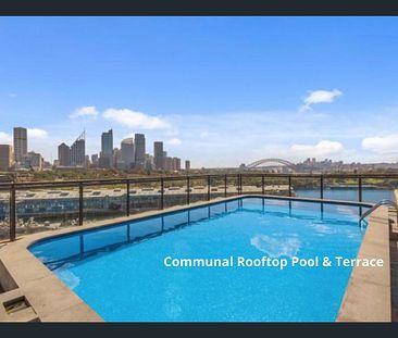 MIND-BLOWING VIEWS OF SYDNEY FROM THE APARTMENT AND ROOFTOP POOL - Photo 4