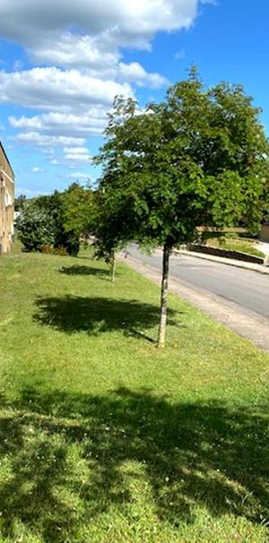 Dejlig 1-værelses lejlighed beliggende i Vissenbjerg - Foto 1