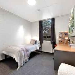 Single Room - Glenn College - Photo 2