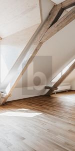 HISTORIC, ABOVE THE ROOFS WITH BALCONY - Photo 3