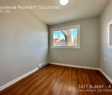 1 bedroom recently updated available immediately! - Photo 5