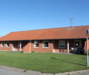 Vrensted - Photo 5