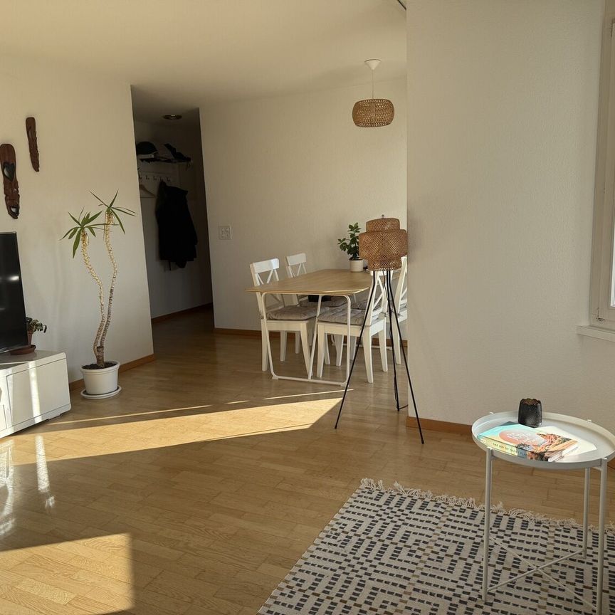 31/2 ROOM ATTIC APARTMENT IN ZURICH - DISTRICT 2 NARROW, FURNISHED, TEMPORARY - Photo 1