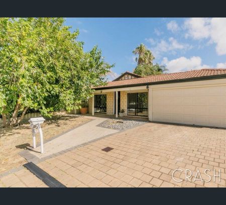 12 Champion Drive, Bertram, WA 6167 - Photo 3