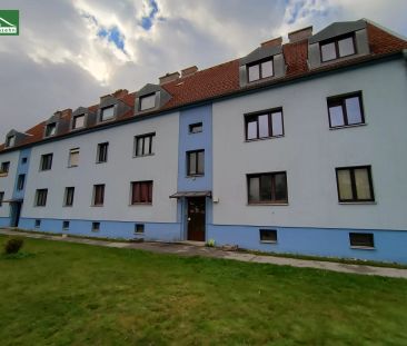Geförderte unbefristete Genossenschaftswohnung in absoluter Ruhelag... - Foto 3