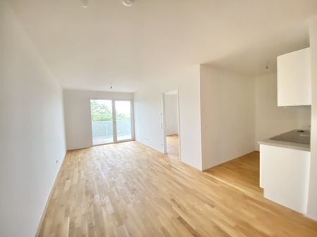 =Das Laurenz= Top Weitblick Wohnung U3 2 Zimmer + Balkon - 1 bedroom apartment + balcony ERSTBEZUG - Photo 5