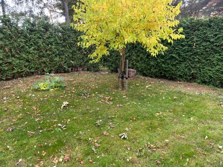 Hasslingegatan, Västra Frölunda - Foto 5