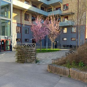 Storgatan 23 B - Foto 3