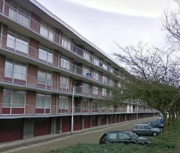 Predikherenlaan 5042 CA Tilburg - Foto 1