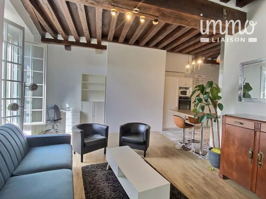 Location meublée, appartement en plein coeur de Blois - Photo 1